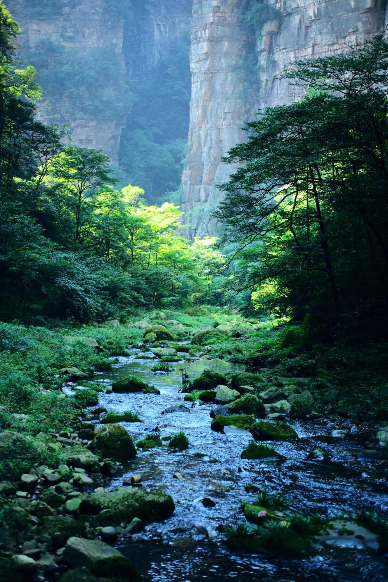 Zhangjiajie Forest Park Youth Hostel Экстерьер фото