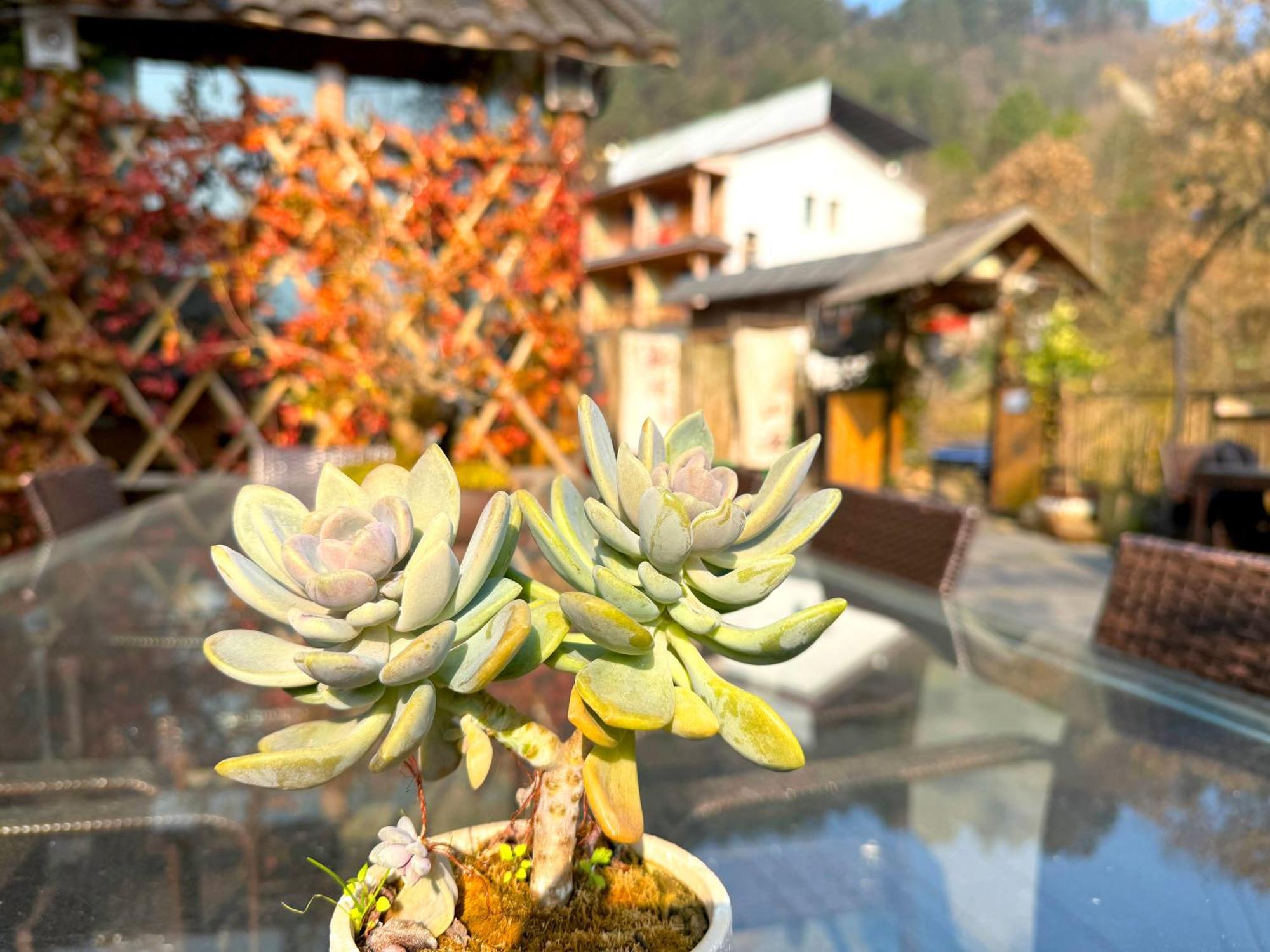 Zhangjiajie Forest Park Youth Hostel Экстерьер фото